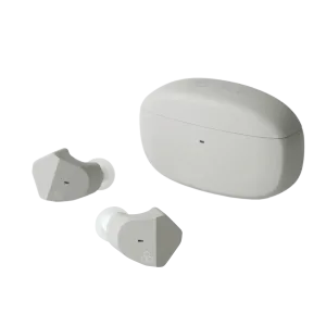 Final ZE2000 - True Wireless In Ear Isolating Earphones