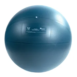 Fitway 65cm FitWay Stability Ball