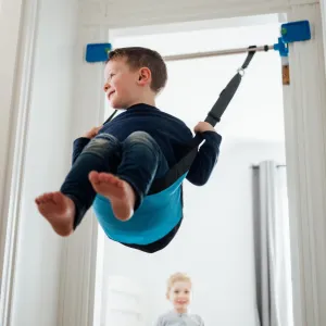 Kidtrix Doorway Swing
