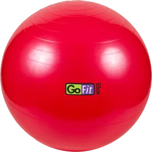 Stability Ball - 55 cm